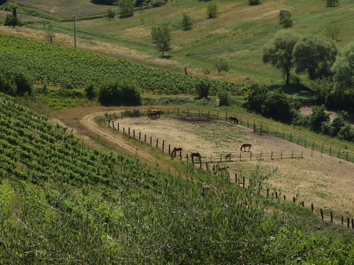 מלון פוג'יבונסי Agriturismo La Moraia מראה חיצוני תמונה